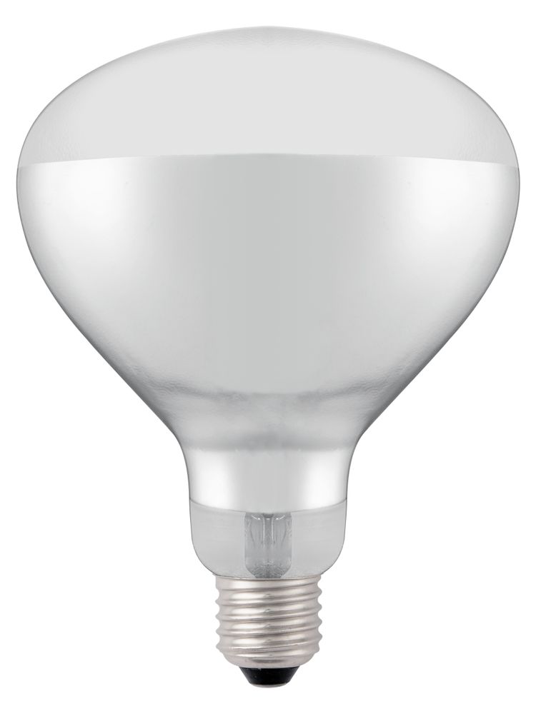 Infraröd heat bulb, HENDI, vit, 230V/250W, ⌀125x(H)170mm