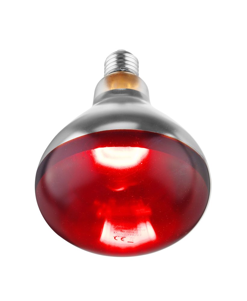 Infraröd heat bulb, HENDI, vit, 230V/250W, ⌀125x(H)170mm